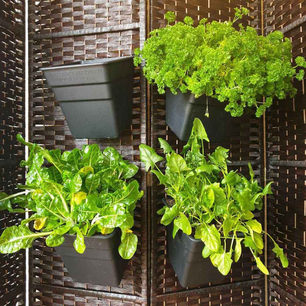 Vertical Garden Pots & Planters