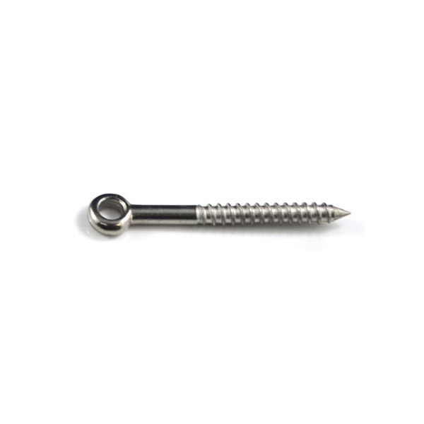 Lag Eye Screw M6 x 60mm Stainless Steel 316