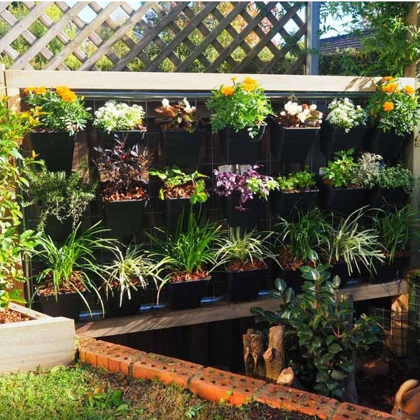 Multi-hang pots hooked into position and supported by galvanised wire mesh