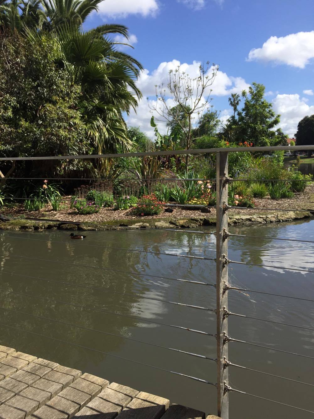 Wire balustrade at Queens Park Melbourne